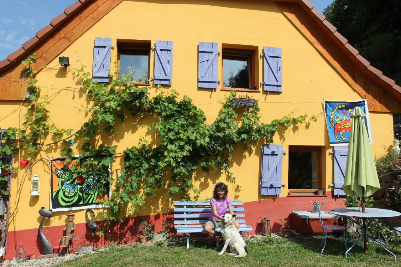 Lalaye Abri De Jardin Amenage, Chambre Camping Glamour酒店 外观 照片